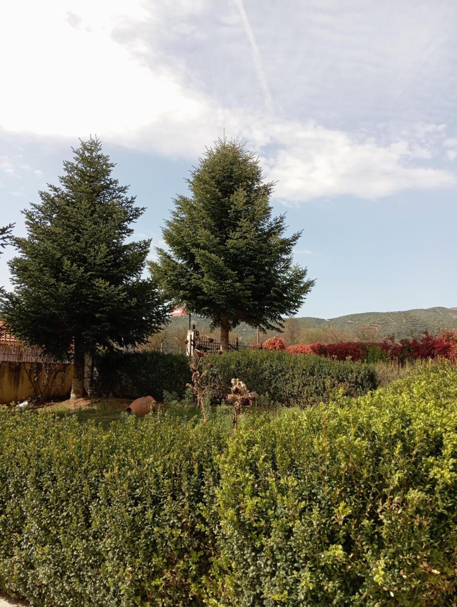Valia Rooms Kalavryta Buitenkant foto