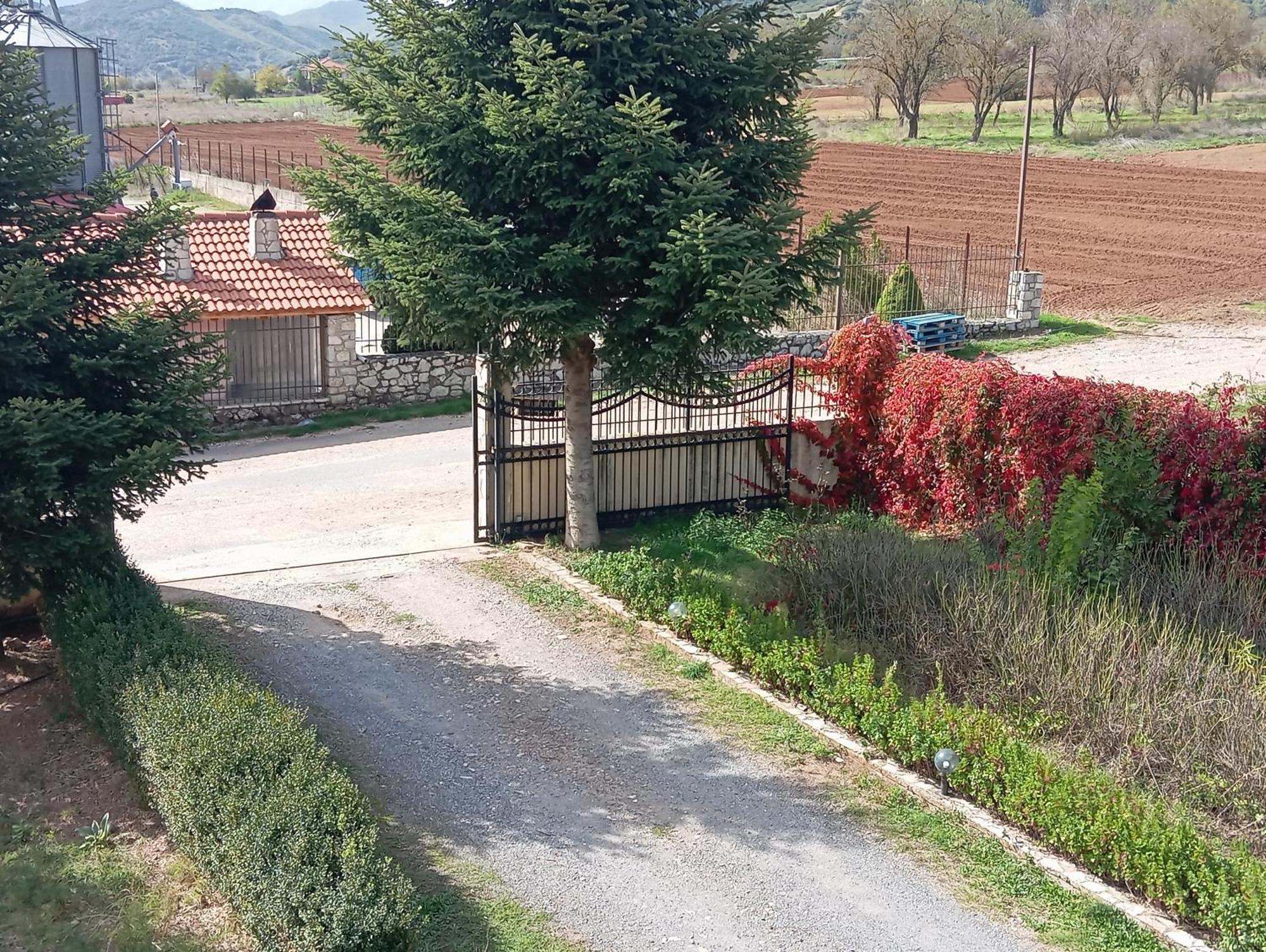 Valia Rooms Kalavryta Buitenkant foto