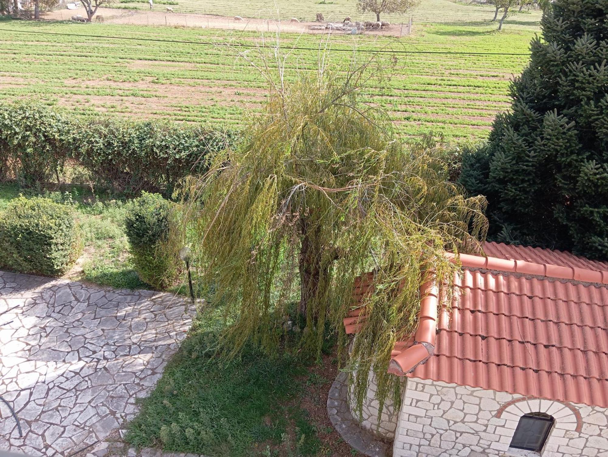 Valia Rooms Kalavryta Buitenkant foto