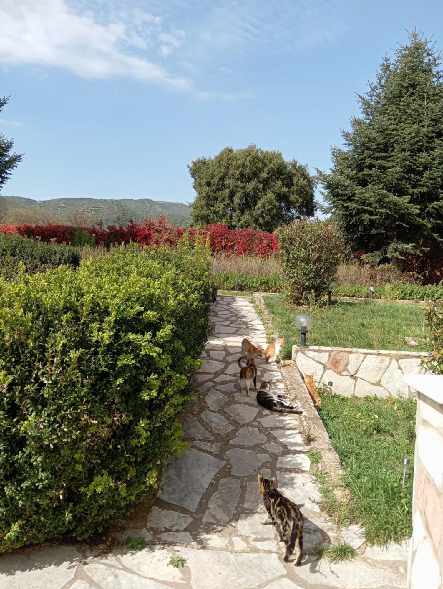 Valia Rooms Kalavryta Buitenkant foto